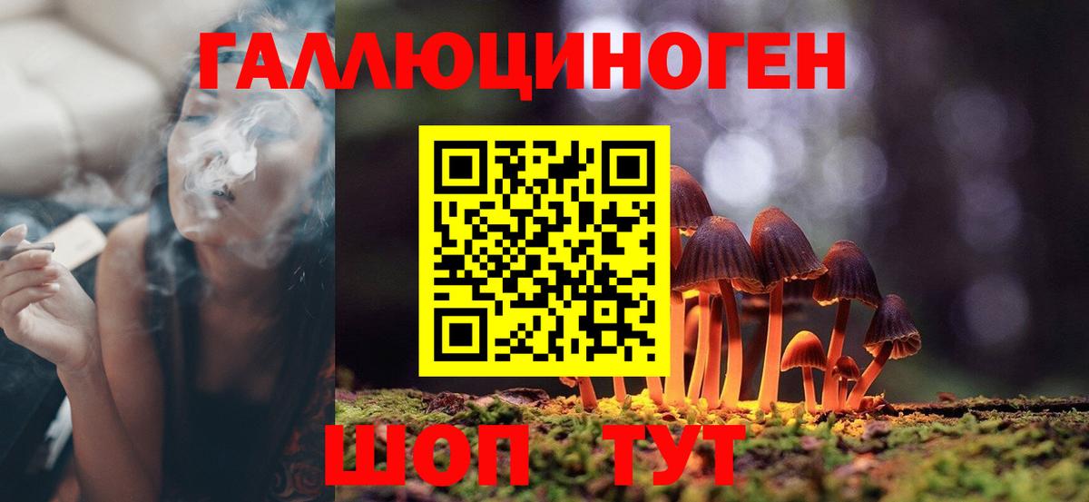 Галлюциногенные грибы Psilocybine cubensis  Вход с VPN  Галлюциногенные грибы мицелий  Ейск 