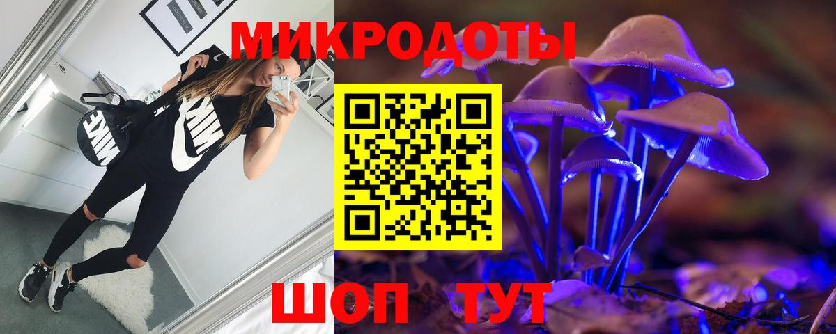 Псилоцибиновые грибы Psilocybine cubensis Ейск